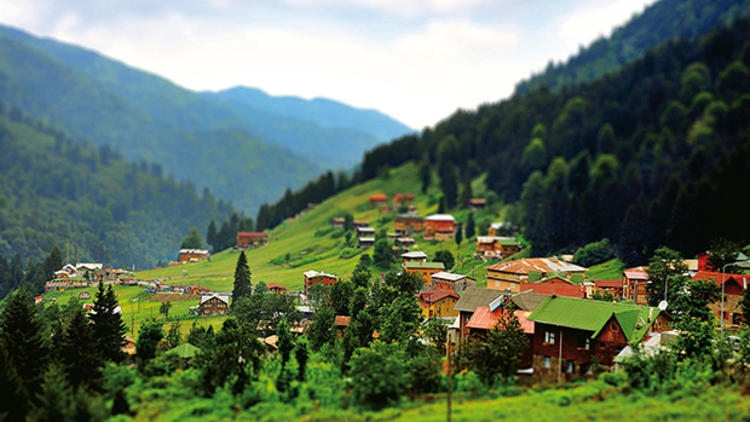 Ayder  Yaylası - Çamlıhemşin