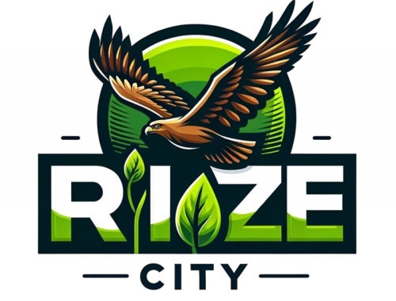Rize'nin İklimi