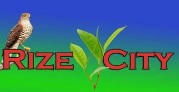 Derepazarı Tarihçesi