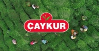 ÇAYKUR 2025 ÇAY BUDAMA BEDELİ ÖDEMESİ