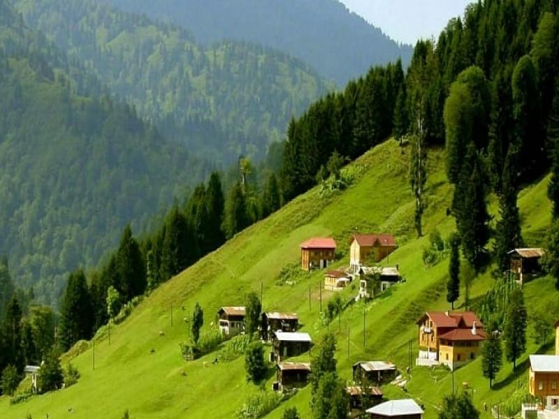 Ayder Yaylası Çamlıhemşin 