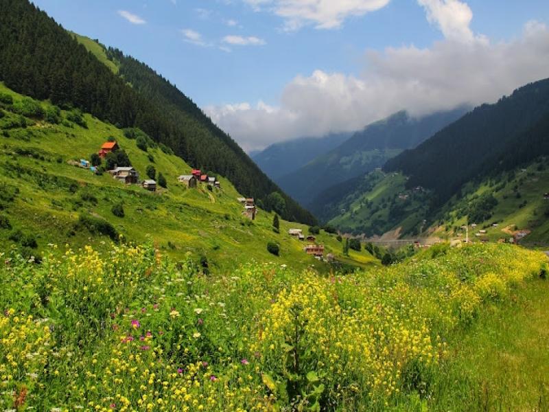 Ovit Yaylası