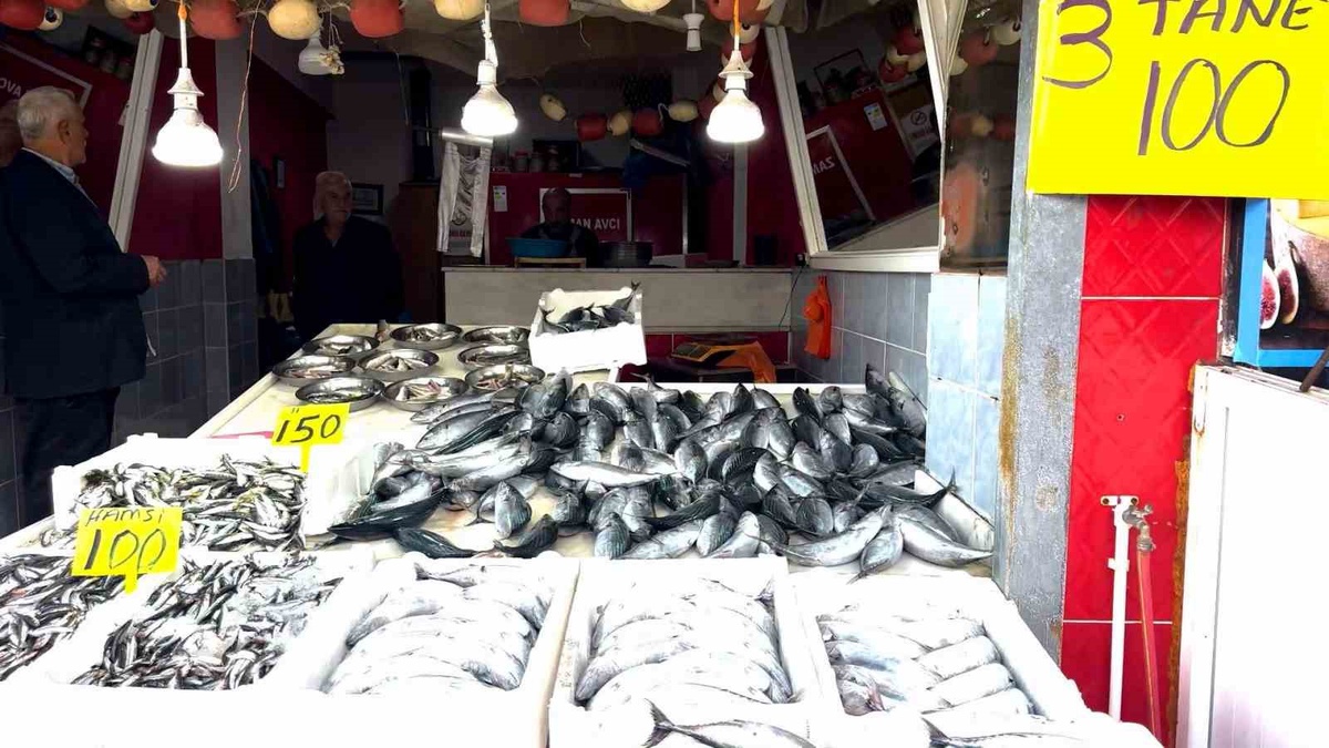 Doğu Karadeniz’de Palamut Bolluğu: 3 Tanesi 100 TL