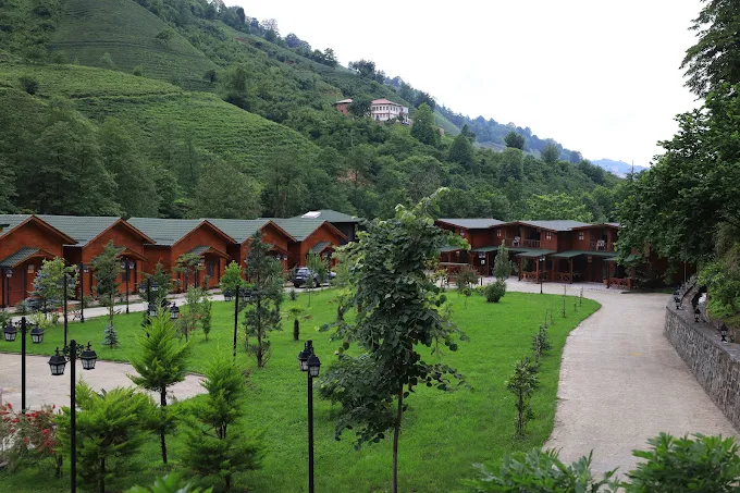Teona Bungalov